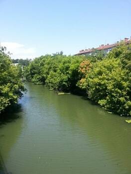  Кои са 5-те най-дълги реки в България? 