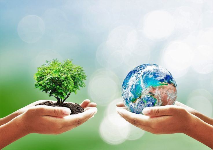Днес е световният ден на околната среда Световният ден на