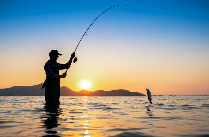 Международният ден на риболова се отбелязва всяка година на 29