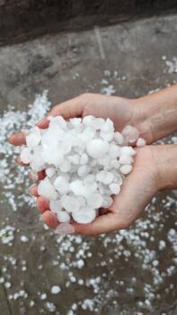  имен ден на Витан 