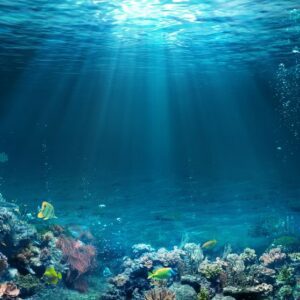 8 юни - Световен ден на океаните