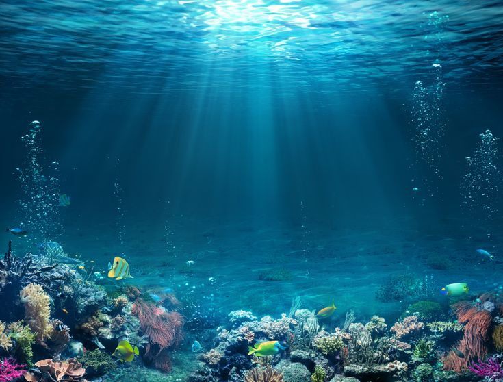 На днешния ден се празнува Световният ден на океаните Океанът
