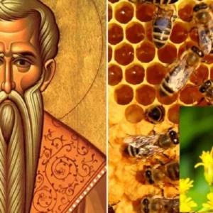 8 юли - почитаме Свети Прокопий пчелар