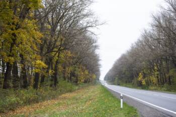  починали на пътя 