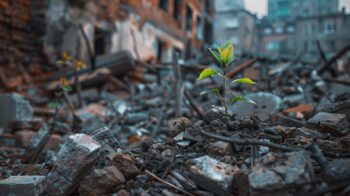 превенция от природните и стихийни бедствия 