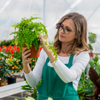  Цветни лечения: Как цветята могат да подобрят нашето въодушевление и здраве 