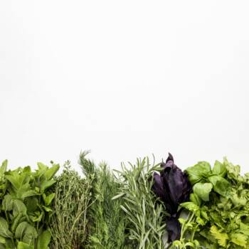  Градина и кухня: Пресни билки и зеленчуци непосредствено от двора 