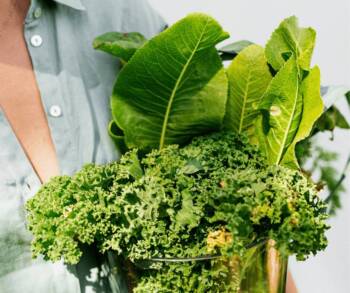 10 суперхрани за силен имунитет през зимата