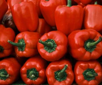 10 суперхрани за силен имунитет през зимата