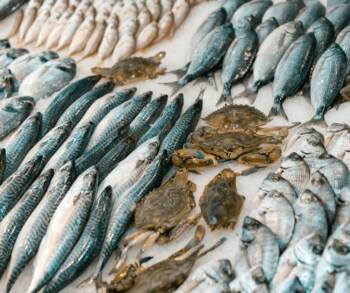 10 суперхрани за силен имунитет през зимата