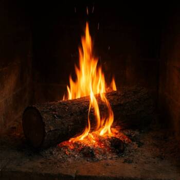 Коледа и късметът: В кои ритуали и традиции вярват българите Коледа и късметът: В кои ритуали и традиции вярват българите