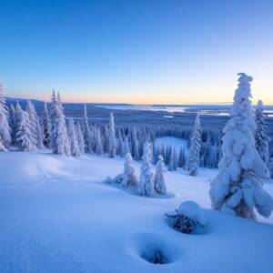 Зимен рай 2026: нестандартни дестинации за снежни бягства