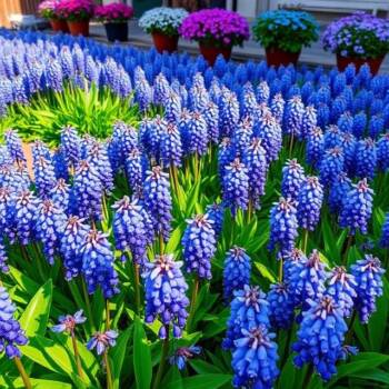 Най-красивите пролетни цветя, които цъфтят през март Най-красивите пролетни цветя, които цъфтят през март