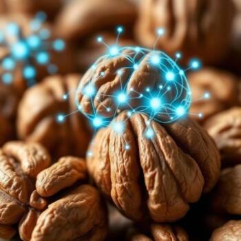 Ядки от американски орех - ценни за мозъка и паметта Ядки от американски орех - ценни за мозъка и паметта