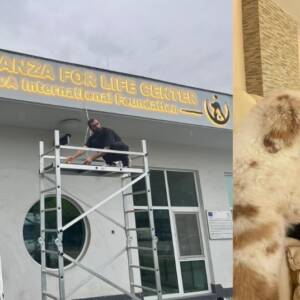 Дом за животни търси подкрепа, за да отвори врати за най-беззащитните Новият дом за животни Esperanza закриля и лекува четириноги в беда.