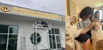 Новият дом за животни Esperanza закриля и лекува четириноги в беда.